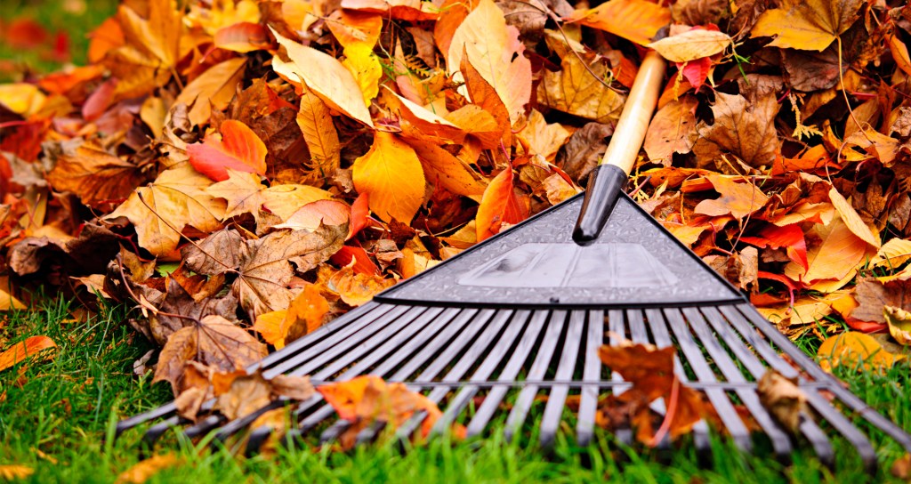 Autumn for Digital Publishers…and Everything&nbsp;After